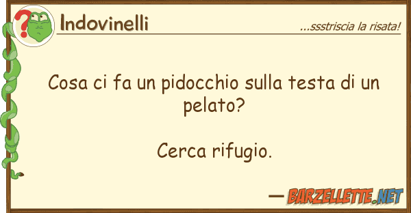 Indovinelli cosa fa pidocchio testa u