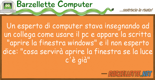 Barzellette Computer esperto computer stava insegnando
