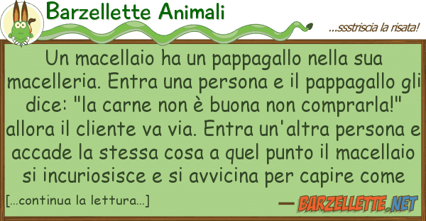 Barzellette Animali macellaio ha pappagallo