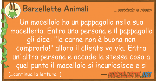 Barzellette Animali macellaio ha pappagallo
