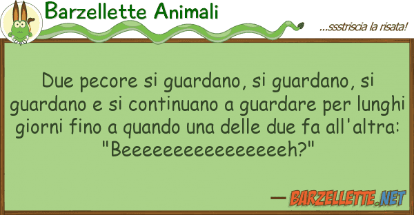 Barzellette Animali due pecore guardano, guardano,