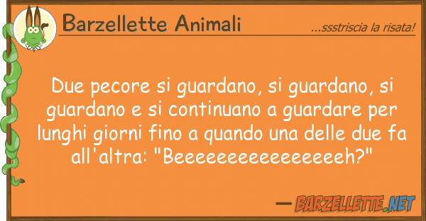 Barzellette Animali due pecore guardano, guardano,