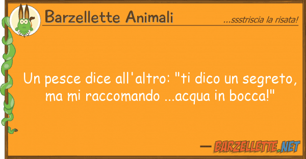 Barzellette Animali pesce dice all'altro: "ti dico seg