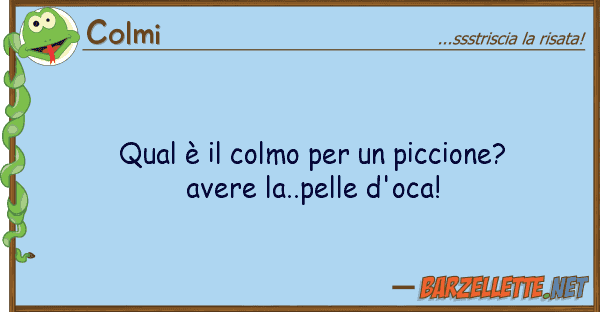 Colmi qual è colmo piccione? avere