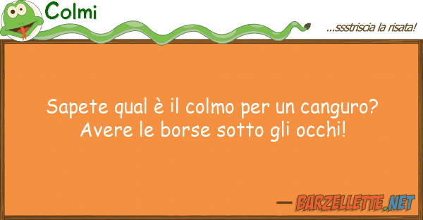 Colmi sapete qual è colmo canguro?
