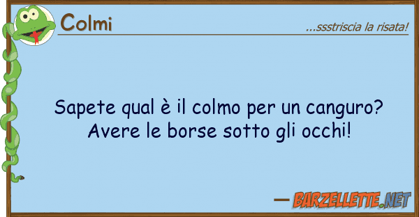 Colmi sapete qual è colmo canguro?