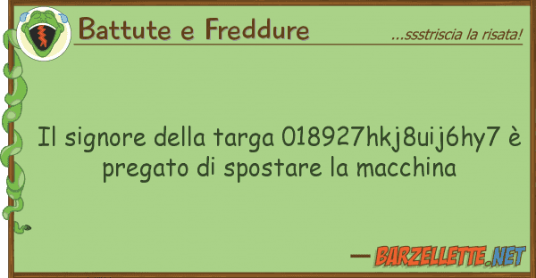 Battute e Freddure signore targa 018927hkj8uij6hy7
