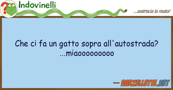 Indovinelli fa gatto sopra all'autostrada?