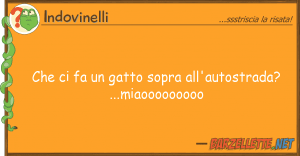Indovinelli fa gatto sopra all'autostrada?