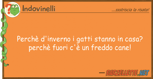 Indovinelli perchè d'inverno gatti stanno casa
