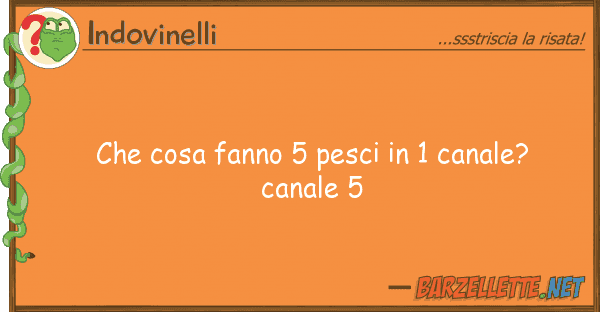 Indovinelli cosa fanno 5 pesci 1 canale? cana