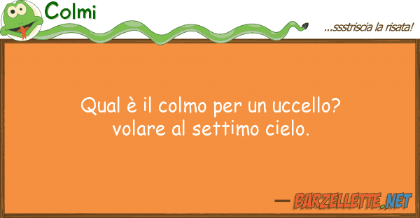 Colmi qual è colmo uccello? volare