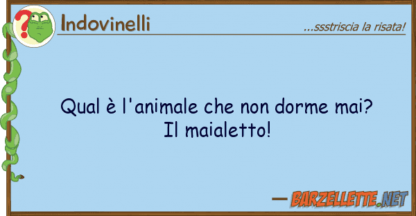 Indovinelli qual è l'animale dorme mai?