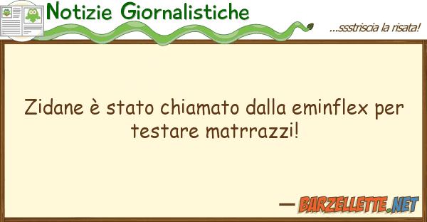 Notizie Giornalistiche zidane è stato chiamato eminflex