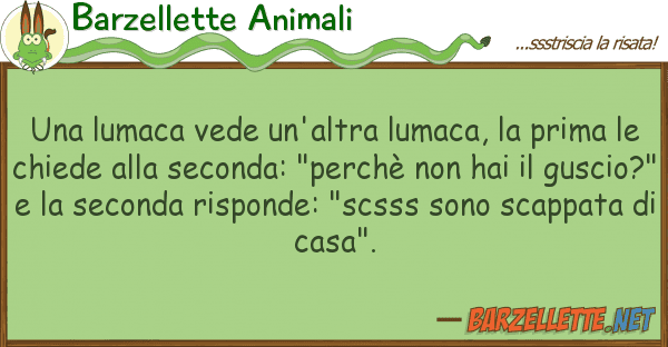 Barzellette Animali lumaca vede un'altra lumaca, prim