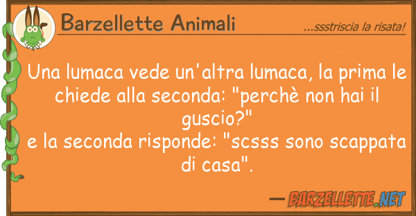 Barzellette Animali lumaca vede un'altra lumaca, prim