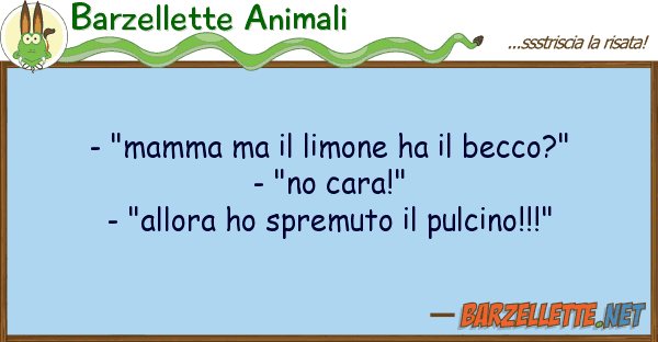 Barzellette Animali - "mamma limone ha becco?" - "