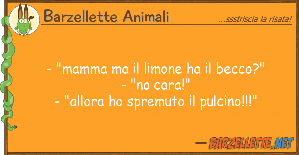 Barzellette Animali - "mamma limone ha becco?" - "
