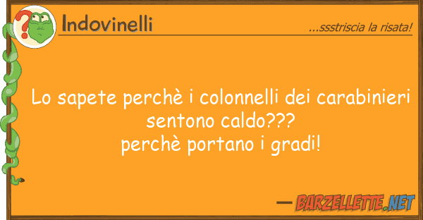 Indovinelli sapete perchè colonnelli carab