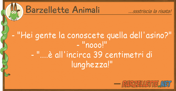 Barzellette Animali - "hei gente conoscete dell'as