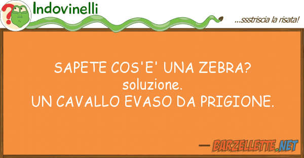 Indovinelli sapete cos'e' zebra? soluzione. un