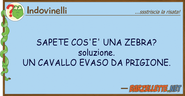 Indovinelli sapete cos'e' zebra? soluzione. un