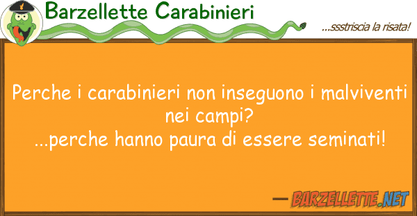 Barzellette Carabinieri perche carabinieri inseguono mal