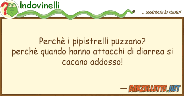 Indovinelli perchè pipistrelli puzzano? perchè