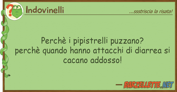 Indovinelli perchè pipistrelli puzzano? perchè