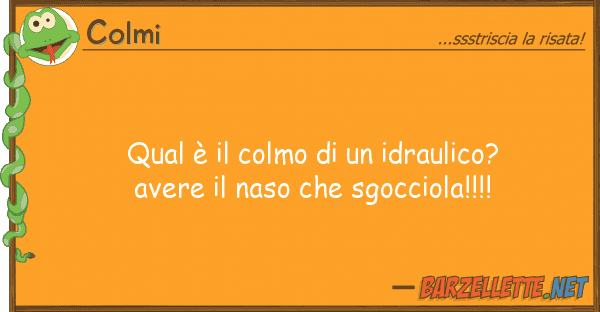 Colmi qual è colmo idraulico? avere