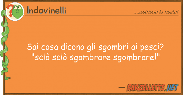 Indovinelli sai cosa dicono sgombri pesci? "s