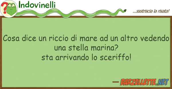Indovinelli cosa dice riccio mare altro