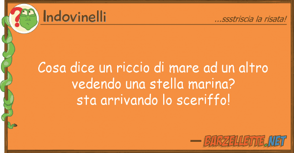 Indovinelli cosa dice riccio mare altro