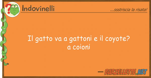 Indovinelli gatto va gattoni coyote?