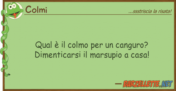 Colmi qual è colmo canguro? dimenti