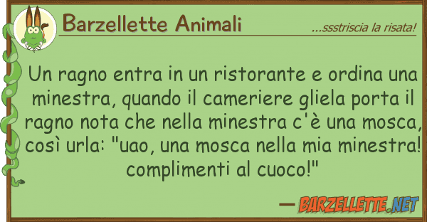 Barzellette Animali ragno entra ristorante ordina