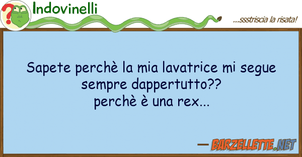 Indovinelli sapete perchè lavatrice segue