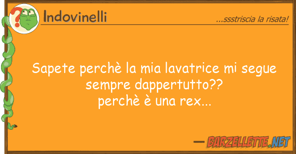 Indovinelli sapete perchè lavatrice segue