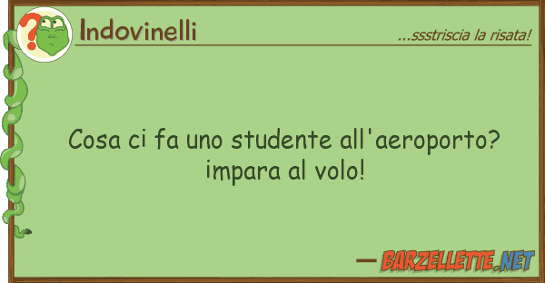 Indovinelli cosa fa studente all'aeroporto?