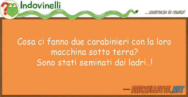 Indovinelli cosa fanno due carabinieri lor