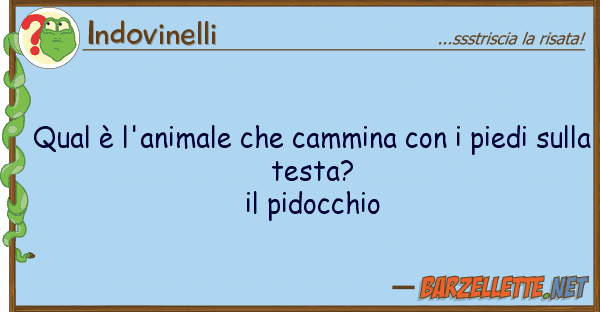 Indovinelli qual è l'animale cammina pied