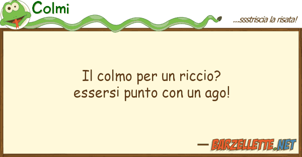Colmi colmo riccio? essersi punto co