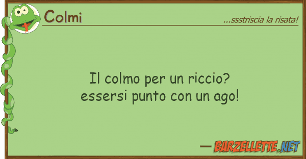 Colmi colmo riccio? essersi punto co
