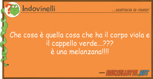 Indovinelli cosa è cosa ha corpo