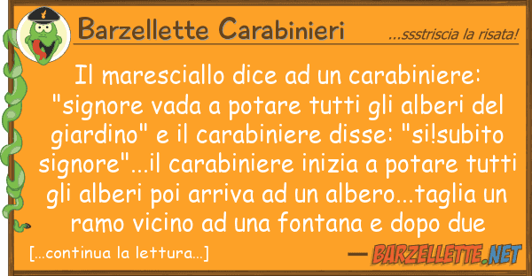 Barzellette Carabinieri maresciallo dice carabiniere: "