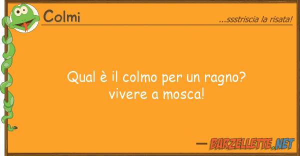 Colmi qual è colmo ragno? vivere