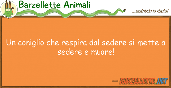 Barzellette Animali coniglio respira sedere me