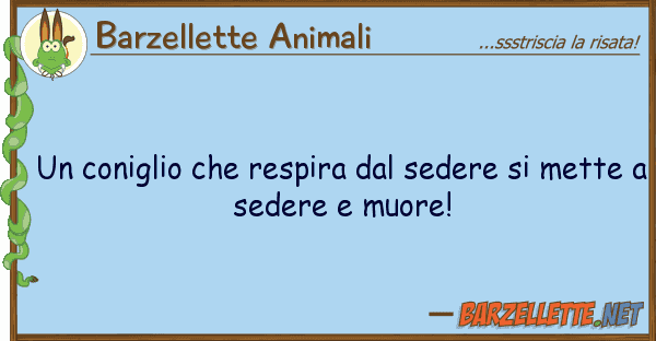 Barzellette Animali coniglio respira sedere me