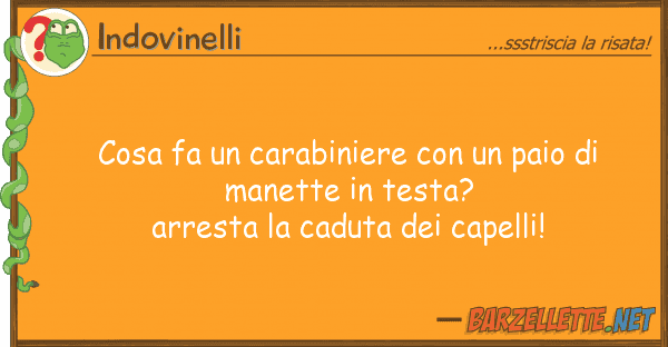 Indovinelli cosa fa carabiniere paio