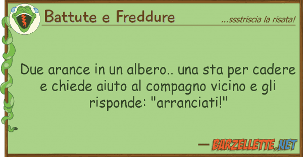 Battute e Freddure due arance albero.. sta ca